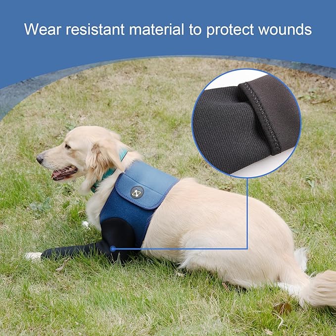 Coodeo Dog Recovery Suit, Cone Collar Alternative, Abrasion Resistant Dog Recovery Sleeve, Washable 2.5mm Thick and Waterproof, Pet Wounds Prevent Licking, Bite, Keep Dry（Blue，2XL