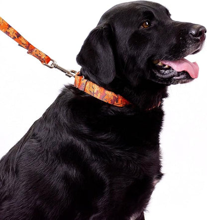 Country Brook Petz - Orange Sunset Camo Martingale Dog Collar and Leash - Military and Camo Collection Featuring Rugged Designs (1/2 Inch, Extra Small)