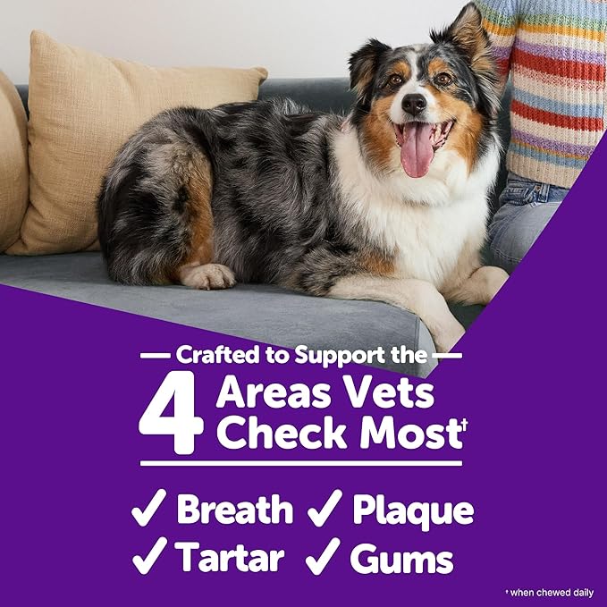 Whimzees Wellness Brushzees Dog Dental Treat, VOHC Accepted Chews, Freshens Breath, Small Size, 12.7 oz Bag, 24 Count