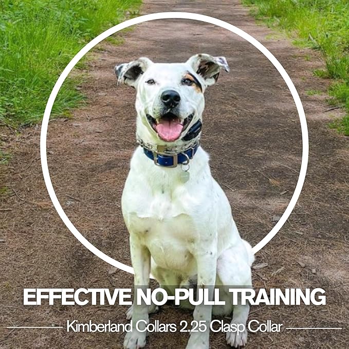 2.25mm Kimberland Collars Clasp Dog Training Collar for Large Breeds | 16” Training Chain for Dogs 26lbs & Up | No-Pull Collar | Behavior Aid | Stainless Steel | Silver