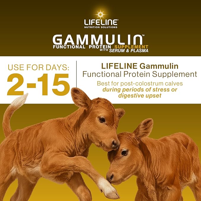 ANNUSO LIFELINE Gammulin Immune & Intestinal Support for Calves, 10lb Pail - Functional Protein Supplement for Days 2-15 - Mix with Milk or Milk Replacer - Vitamins, Minerals, Immune Support
