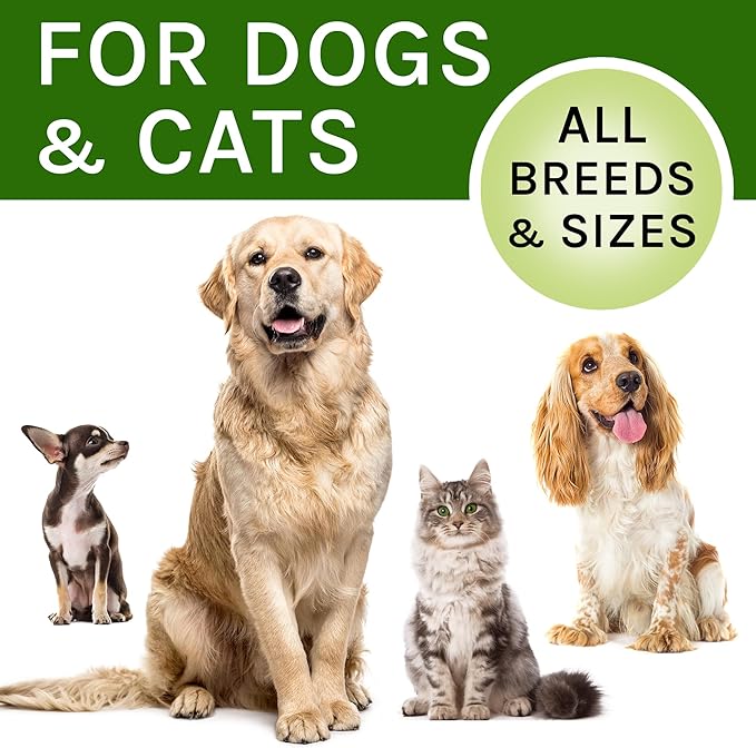Kennel Cough Treatment for Dogs & Cats - Collapsed Trachea & Cat Asthma Support - Dog Cough Suppressant - Liquid Throat Soother - Dry, Wet & Barky Pet Cough Relief for All Breeds - Made in USA - 2 Oz