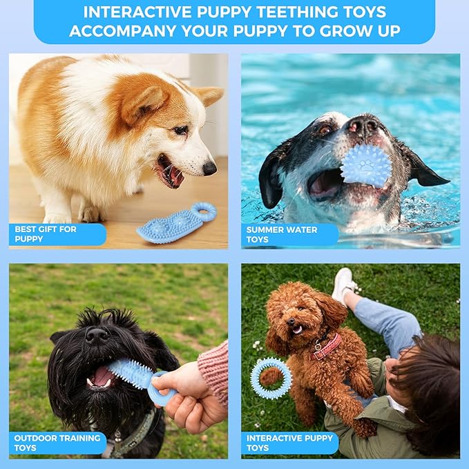 Puppy Toys, 9 Pack Dog Chew Toys for Puppy, Cute Blue Small Dog Toys, Teething Toys for Puppies, Soft Durable Interactive Chew Toy for Small Dogs