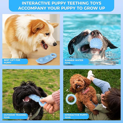 Puppy Toys, 9 Pack Dog Chew Toys for Puppy, Cute Blue Small Dog Toys, Teething Toys for Puppies, Soft Durable Interactive Chew Toy for Small Dogs