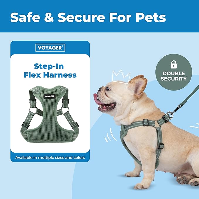 Best Pet Supplies Voyager Adjustable Step-in Flex Breathable Mesh Dog Harness for Small Medium Large Dogs Moss Green, L