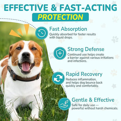 Woyamay Antibiotics for Dogs | Natural Dog Antibiotics for Allergy Relief, Itch Relief, Coughs, Skin Health, Breath Treatment, Digestion | Herbal Supplement to Care for Ears, Eyes & Coat, 4 Fl Oz