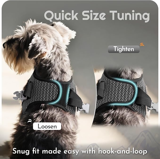 Eagloo Small Dog Harness and Leash Set, Step in Puppy Vest with Breathable Soft Mesh, Walking Reflective Pet Harness for Small Dogs, Gray, S