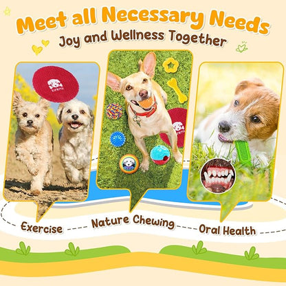 KIPRITII 25 Pack Various Dog Toys Set – Ideal for Teething, Entertainment & Interactive Play, Includes Puppy Toys, Rope Toys, Treat Balls and Squeaky Dog Toys