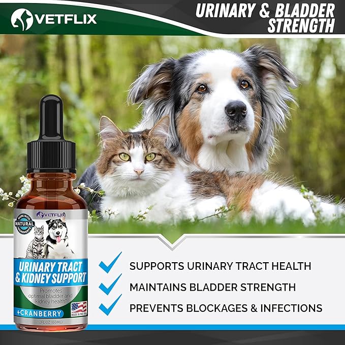 UTI and Kidney Support for Dogs, Cats, Puppies and Kittens – Natural Urinary Tract Supplement with Cranberry – Supports Bladder and Immune Health – Made in USA – 2 Fl Oz