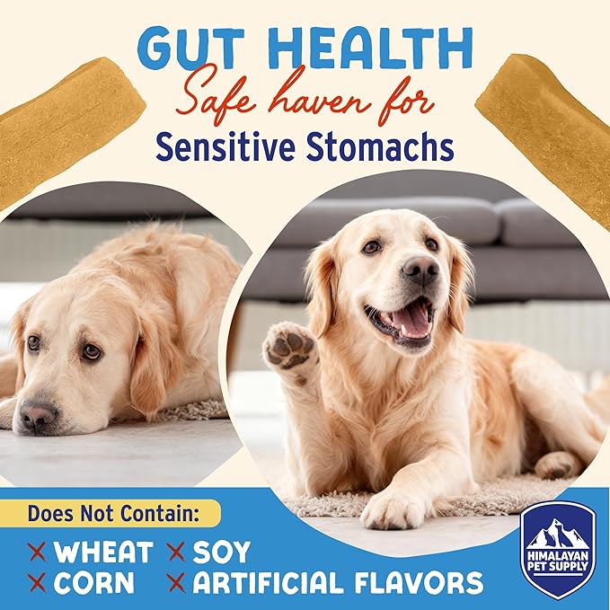 Himalayan Dog Chew Apple Honey Yogurt Sticks for Dogs | Protein-Rich Treats with Prebiotics & Probiotics | Lactose-Free, Grain-Free, Gluten-Free | Healthy Yogurt Chews for All Breeds | 5 Count