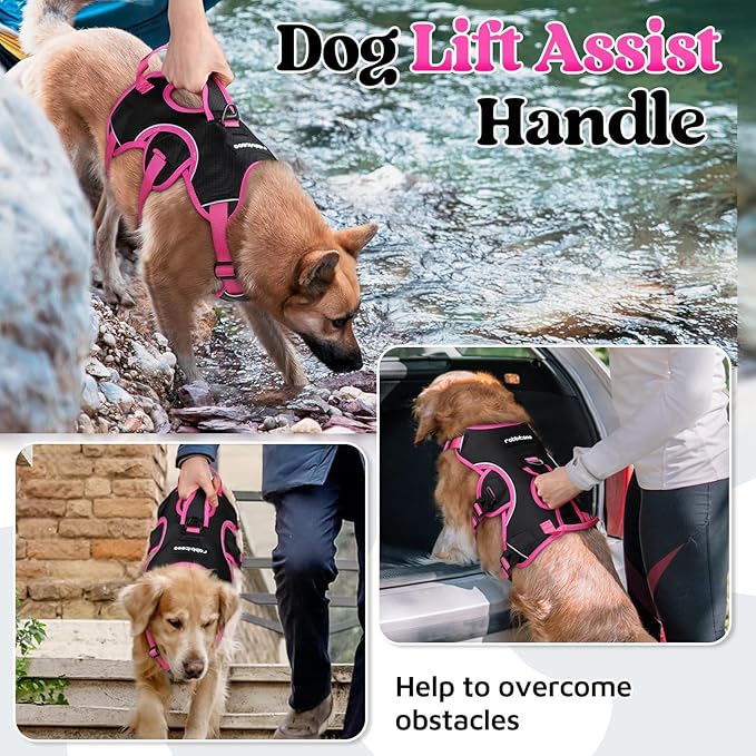 rabbitgoo Escape Proof Dog Harness Medium, Soft Padded Full Body Pet Harness, Reflective Adjustable No Pull Vest with Lift Handle and Leash Clip for Walking Hiking Training, Pink & Black, M
