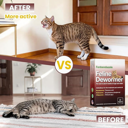 Dewormer for Cats & Kittens, Fenbendazole for All Wormers, Roundworms, Hookworms and Whipworms, 24 Tablets