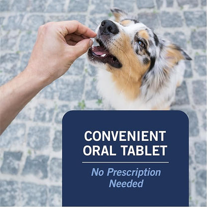 PetArmor CAPACTION (nitenpyram) Oral Flea Treatment for Dogs, Fast Acting Tablets Start Killing in 30 Minutes, Small Dog Flea Treatment 2-25 lbs, 6 Doses