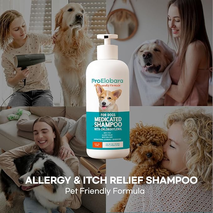 Medicated Dog Shampoo for Allergies and Itching: Antifungal Dog Shampoo, Yeast Infection and Bacterial Treatment for Dogs - Helps Hot Spots, Deodorizing and Anti Itch - Healthy Skin & Coat (Pack of 2