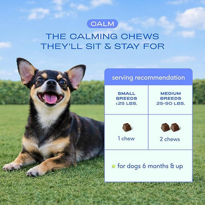 Native Pet Calming Chews for Dogs Small Breed - Promotes Calming Effect, Supports Emotional Balance & Reduces Hyperactivity - Hemp Seed, Melatonin for Dogs, L-Theanine & Casein - 30 Days Supply