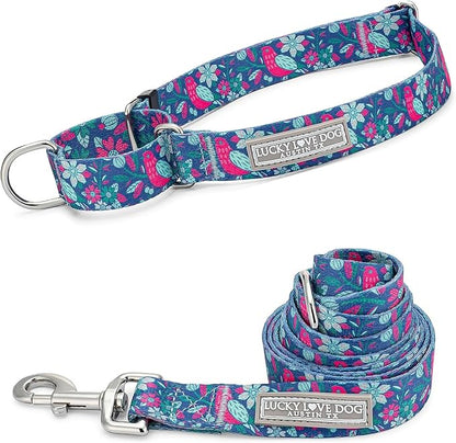 Lucky Love Dog - Easy Click Buckle Dog Collar with Leash Set Combo, Durable & Comfortable for Male & Female Dogs, Pet Collar for Large Dogs, Secure Fit - Carriebelle Martingale Combo, Large