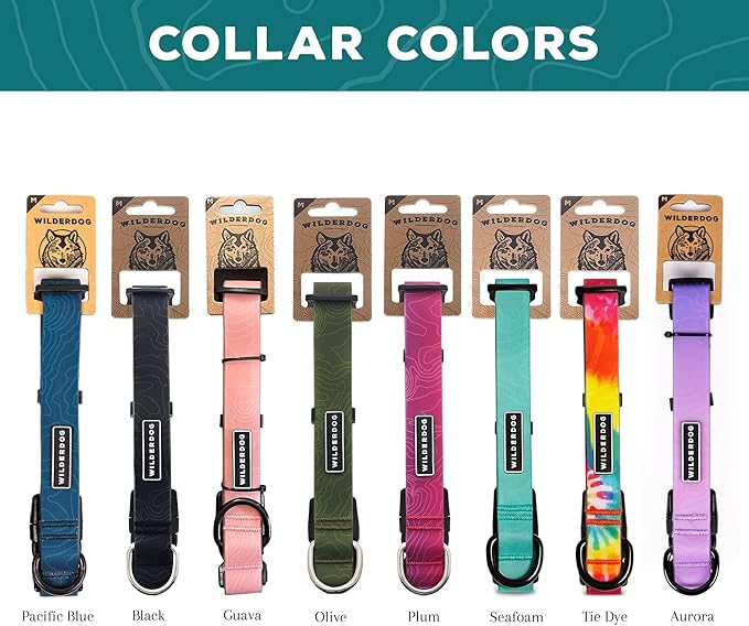 Wilderdog Waterproof Dog Collar – Repels Water & Dirt - Small 11"-15" - Aurora