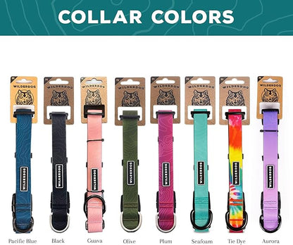 Wilderdog Waterproof Dog Collar - Repels Water & Dirt - Large 17"-24" - Aurora