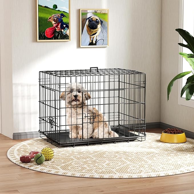FDW Dog Crate 24-Inch Dog Cage Single Door Foldable Metal Kennel with Leakproof Tray Foldable Design Indoor Outdoor Use for Small Dogs,Dark Black