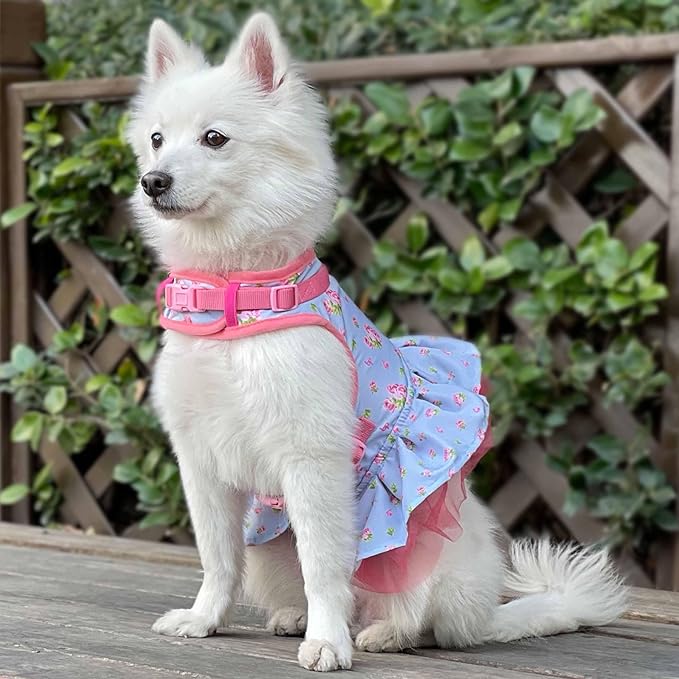Blueberry Pet Soft & Comfy Floral No Pull Dog Harness Dress, Small Dog Harness, X-Small, Adjustable, Lightweight, Pastel Blue
