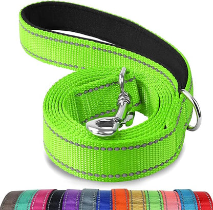 Joytale Dog Leash, 4 FT Double-Sided Reflective, Padded Handle Nylon Heavy Duty Leashes for Small Dogs Walking, Green