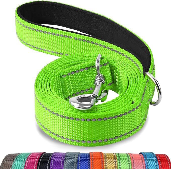 Joytale Dog Leash, 6 FT Double-Sided Reflective, Padded Handle Nylon Heavy Duty Leashes for Small Dogs Walking, Green