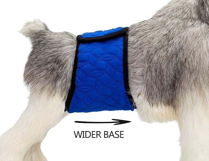 Mkono Male Dog Belly Band Wraps Washable Dog Diapers Male for Small and Medium Dogs (3 Pack), Waist 19.2 Inches to 23.8 Inches