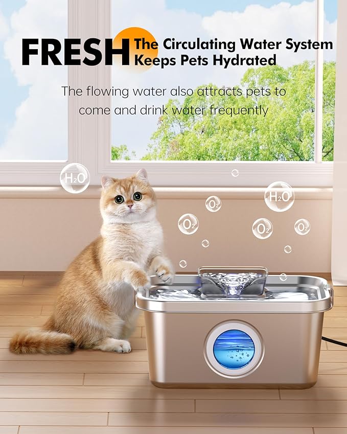 PETIMI Dog Water Fountain, 2 Gallon 304 Stainless Steel Large Pet Water Fountain for Dogs & Cats, Ultra Quiet Indoor Pet Fountain, Safety Lock, 3 Replacement Filters Included, Smart Pump Protection