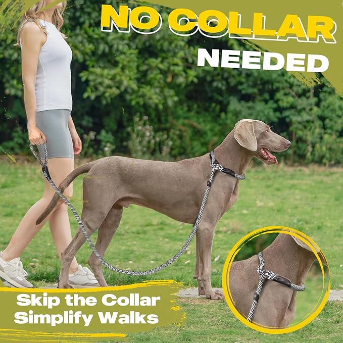 Fida Durable Slip Lead Dog Leash Bulk Pack of 5, Heavy Duty 1/2" x 6 FT Comfortable Strong Rope Slip Lead for Large, Medium & Small Dogs No Pulling Pet Training Leash with Highly Reflective (Grey)
