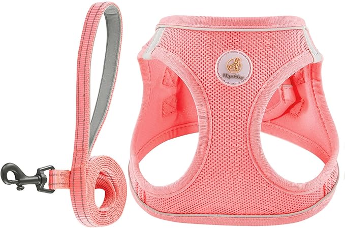 Hipubby Dog Harness and Leash Set, No Pull Soft Mesh Puppy Harness for Small Medium Dogs, Cats - Step in Reflective Breathable Lightweight Vest Harness for Walking, Training - Pink, L
