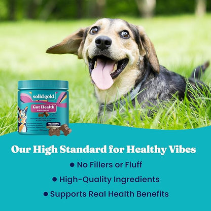 Solid Gold Dog Probiotics for Digestive Health - Probiotics for Dogs with Fiber & Digestive Enzymes for Bowel Support & Gut Health - Bacon Flavor Soft Chews to Support Digestion for All Ages - 120ct