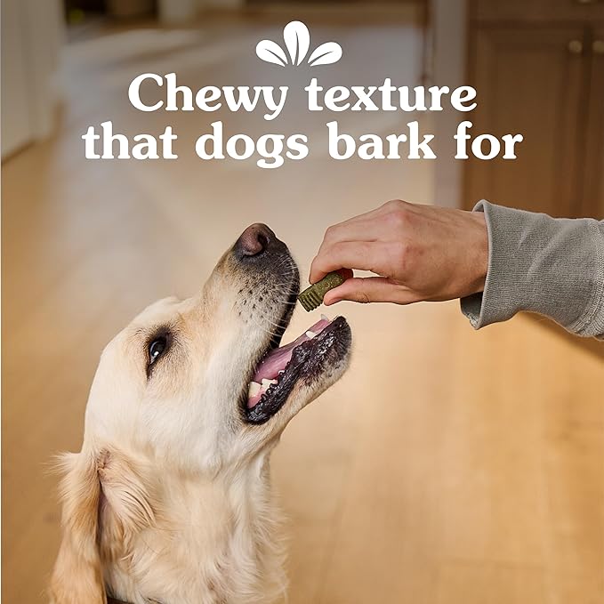 Greenies Anytime Bites Dog Treats, Blueberry Flavor, Dog Training Treats, 10.3 oz. Bag
