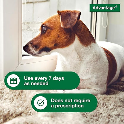 Advantage Dog Flea & Tick Shampoo for Puppies & Adult Dogs | Kills Fleas & Ticks | 24 oz.