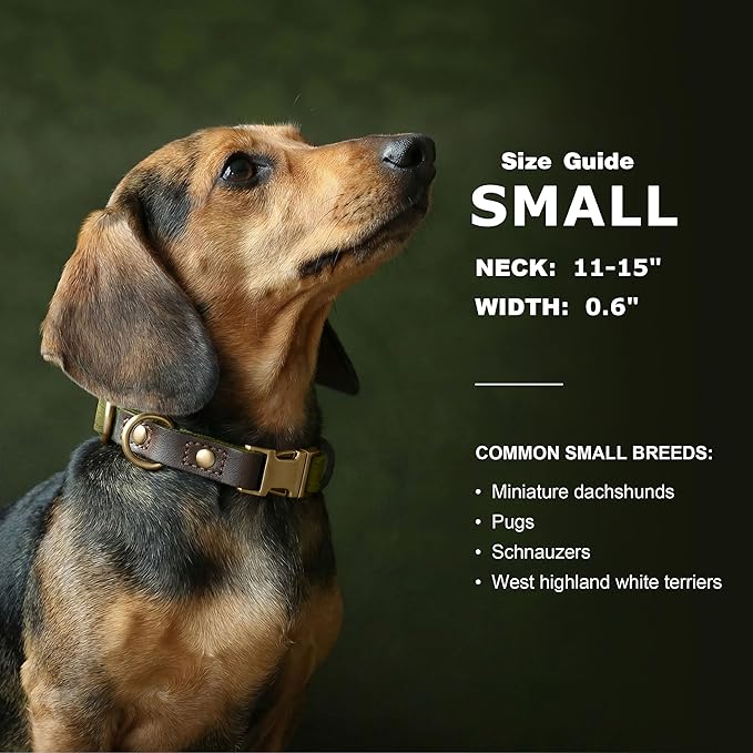 Didog Soft PU Leather Dog Collars for Small Dogs,Classic Adjustable Dog Collars with Quick Release Metal Buckle,Easy Clean and Comfortable with Nylon Lining,Olive Green,S Neck 11-15"