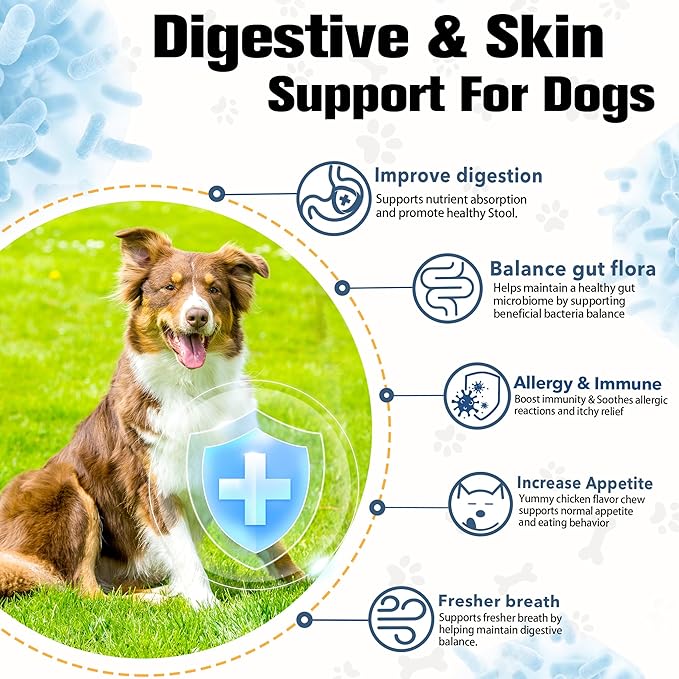 Probiotics for Dogs Supports Digestive Health, Natural Probiotic Supplement with Digestive Enzymes and Prebiotic, Probiotic Chews for Dogs Gut Health, Relieve Diarrhea, Itchy Skin, Enhance Immunity