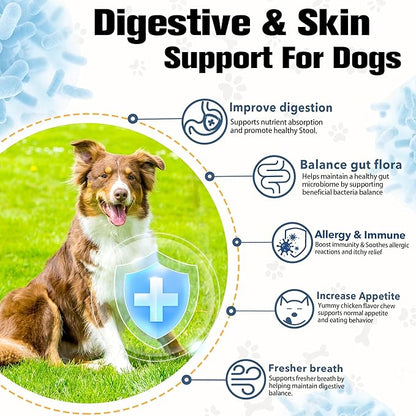 Probiotics for Dogs Supports Digestive Health, Natural Probiotic Supplement with Digestive Enzymes and Prebiotic, Probiotic Chews for Dogs Gut Health, Relieve Diarrhea, Itchy Skin, Enhance Immunity