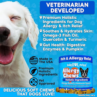 Well Loved Dog Allergy Chews - Dog Allergy Relief, Itching Skin Relief, Hot Spot Treatment & Seasonal Allergies, Vet Developed, Anti Itch Skin Irritation Treatment, Made in USA, 120 Chews
