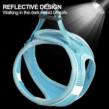 Dog Harness for Small Dogs and Leash Set, Honeycomb Grid, Reflective Lightweight Harness & Anti-Twist Pet Lead Multi Color, Size: XS-S-M. (S, Sky Blue)