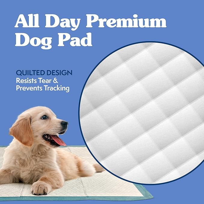 Simple Solution Extra Large Pee Pads For Dogs, Puppy Potty Training, Leak Proof Dog Pads, Pet Pee Pad, Disposable Puppy Pad, XLARGE 28"x30"
