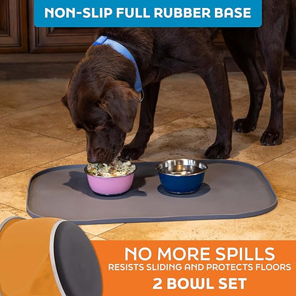 Master Pet Supply Stainless Steel Dog Bowls Set of 2 (16 Oz Each) with Non-Slip Rubber Base - Mango Tango - Basic Dog Food Bowl Water & Food Bowls for Small Medium Large Dogs & Cats, Metal Dish