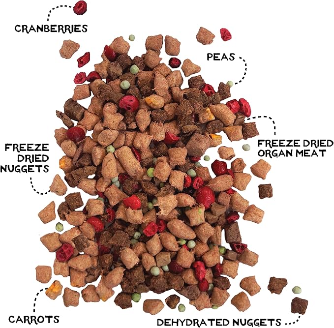 Simple Food Project - Beef & Salmon Recipe - Freeze Dried Raw Food for Dogs - 48oz