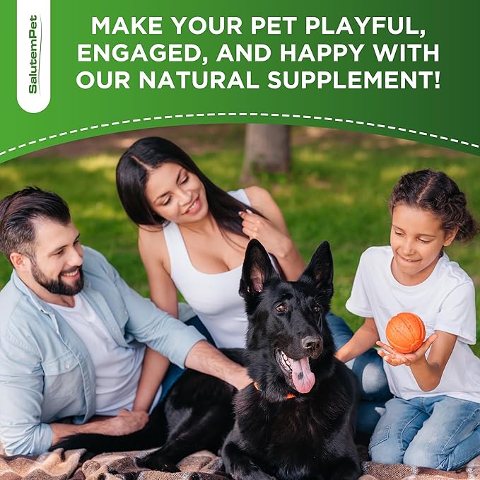 Probiotics for Dogs | Liquid Probiotics for Dogs and Puppies | Prebiotic & Digestive Enzymes | Gut Flora Support and Digestive Care | Bacon Taste | 2 Oz