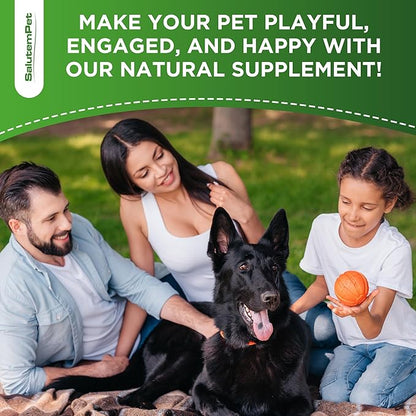 Probiotics for Dogs | Liquid Probiotics for Dogs and Puppies | Prebiotic & Digestive Enzymes | Gut Flora Support and Digestive Care | Bacon Taste | 2 Oz