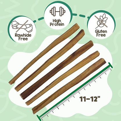 Nature Gnaws Large Bully Sticks for Dogs 11-12" (5 Count) - Thick Long Lasting for Aggressive Chewers and Large Dogs - Natural Beef Dog Chew Bones