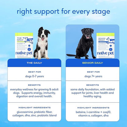 Native Pet Senior Daily Dog Vitamins & Supplements – 12-in-1 Dog Multivitamin Powder for Senior Dogs – Supports Mobility, Cognition, Digestion, Immune Health & More – 60 Scoops