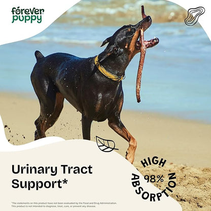 Forever Puppy Urinary Tract Drops for Dogs - Bladder Supplement w/Corn Silk & Chanca Piedra Stone Breaker - Dog Food Supplements - Sugar & Alcohol-Free Liquid Drops - 2 oz