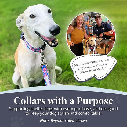 Lucky Love Dog Martingale Dog Collar & Leash - Adjustable, No-Slip, Durable, Comfortable, Soft Webbing, & Stylish Patterned Collar & Leash Set for Male and Female Dogs - Zuzu Combo, Small