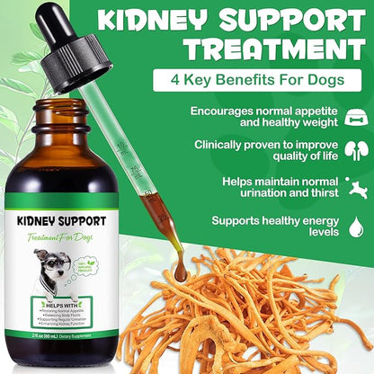 Kidney Support for Dogs, Kidney Support Herbal Supplement Drops Supports Healthy Kidney Function & Urinary Tract Health in Dogs Restoring Normal Appetite 2 oz
