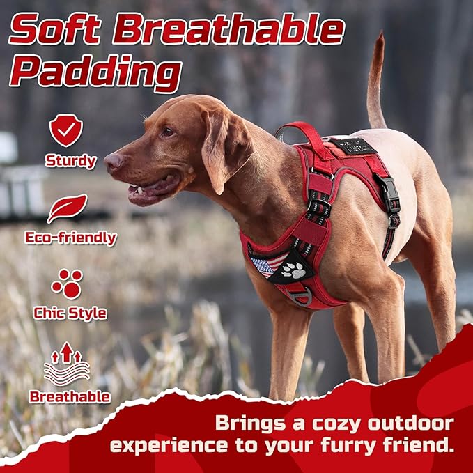 rabbitgoo Tactical Dog Harness Medium Sized Dog, No Pull Military Service Vest with Handle & Molle, Easy Control for Training Walking, Adjustable Reflective Straps, Red, M