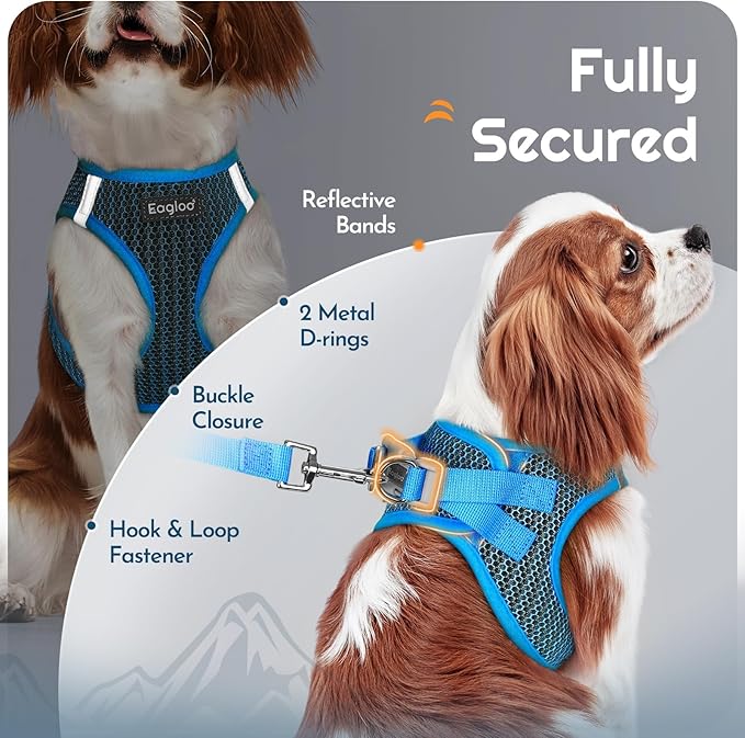 Eagloo Small Dog Harness and Leash Set, Step in Puppy Vest with Breathable Soft Mesh, Walking Reflective Pet Harness for Extra Small Dogs, Blue, XXS